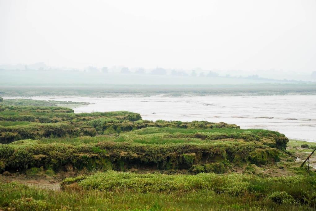 Bromans Barn A Beautiful Cottage By The Sea And Cudmore Nature Reserve เวสต์เมอร์ซี ภายนอก รูปภาพ
